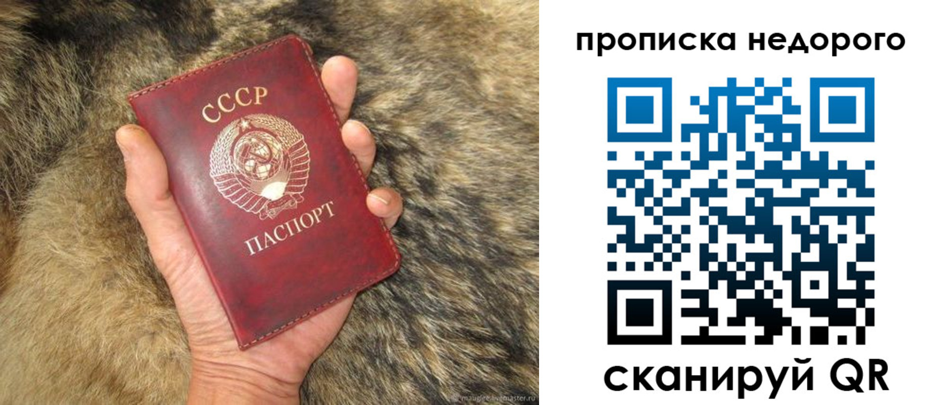 прописка для школы в Ковылкино